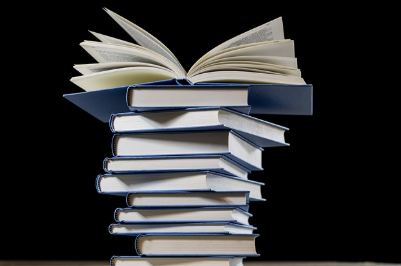 도서관의 하루: 책과 사람, 그리고 지식이 흐르는 공간