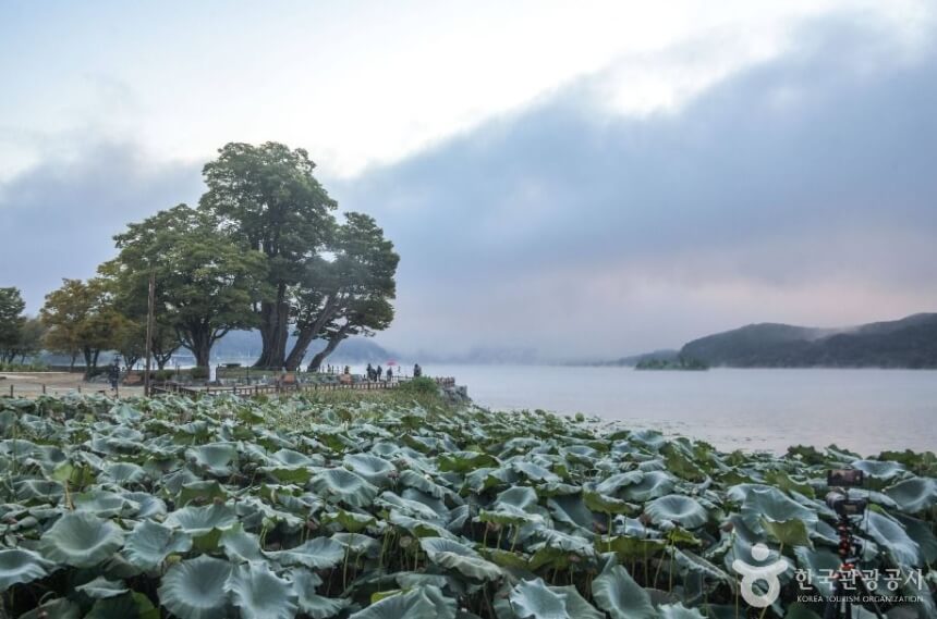 양평 가볼만한곳 베스트 10