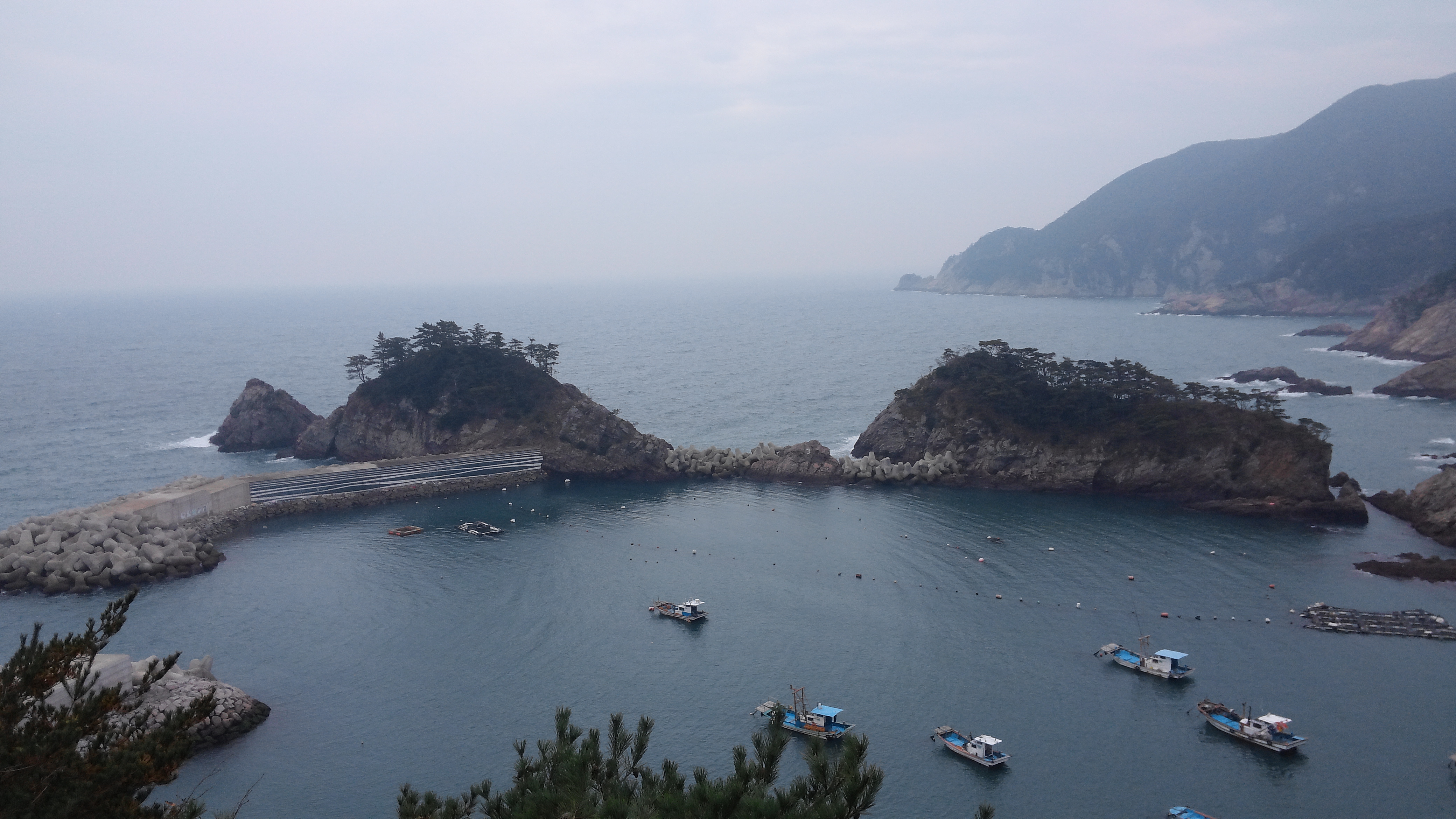 흑산도 사리 솔섬 귀섬