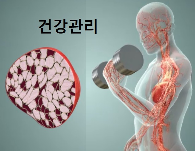 당화혈색소-건강관리