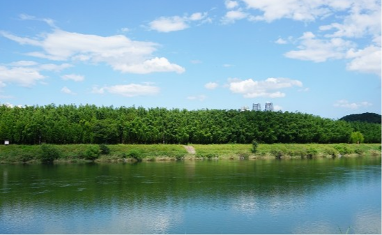 태화강 국가정원 십리대숲