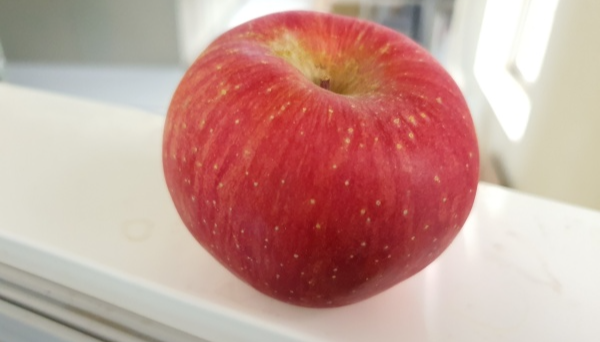 빨간-작은사과-한개