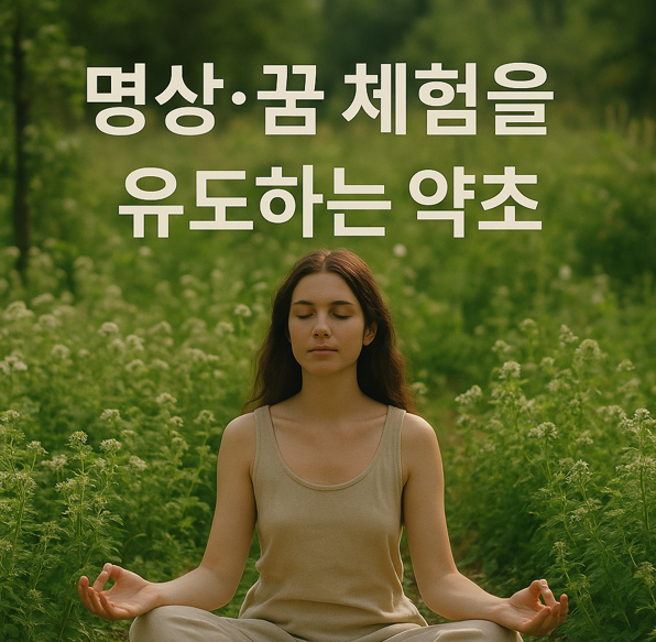 명상 체험을 유도하는 약초 꿈