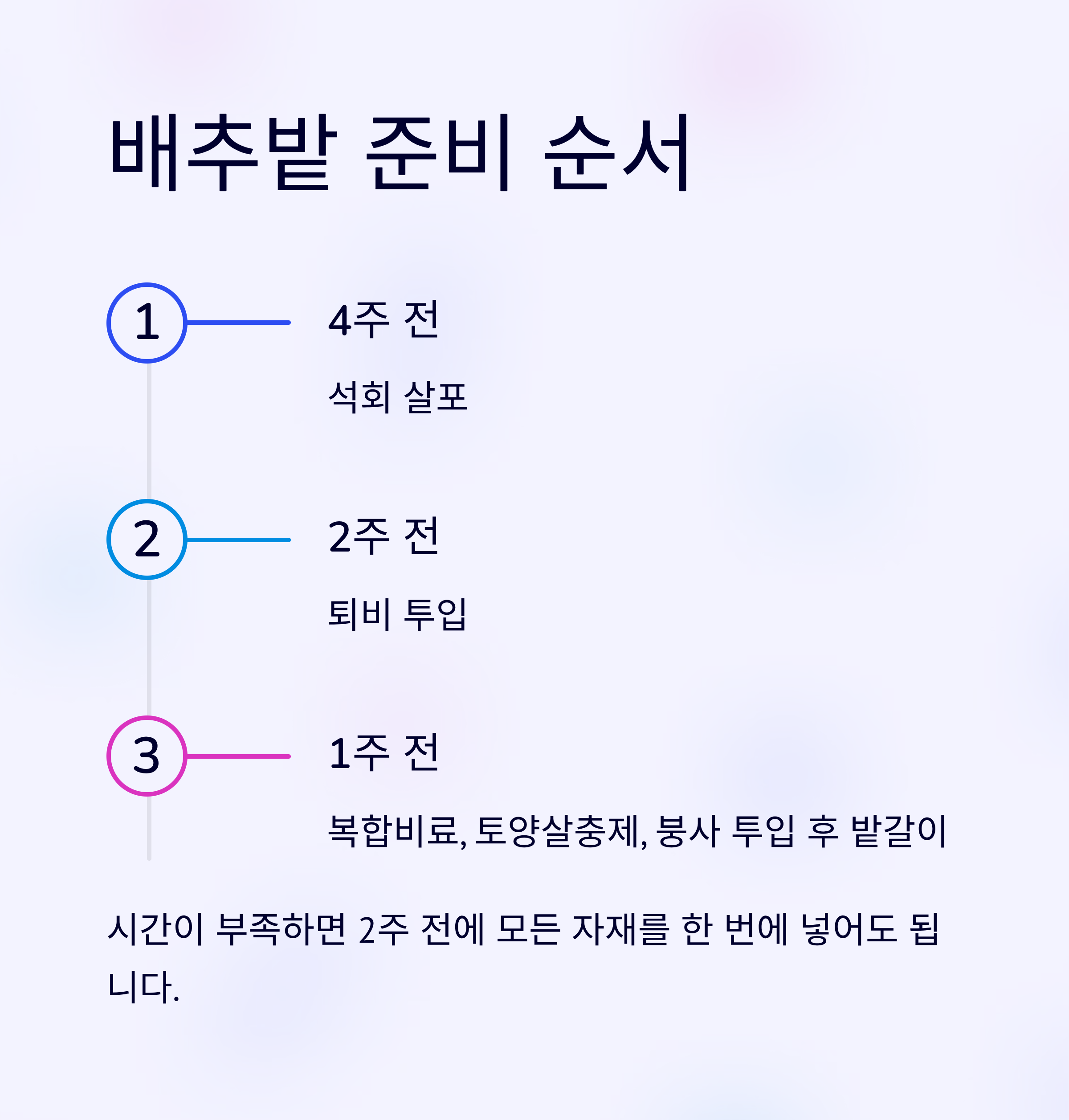 배추모종 심는 타이밍 4
