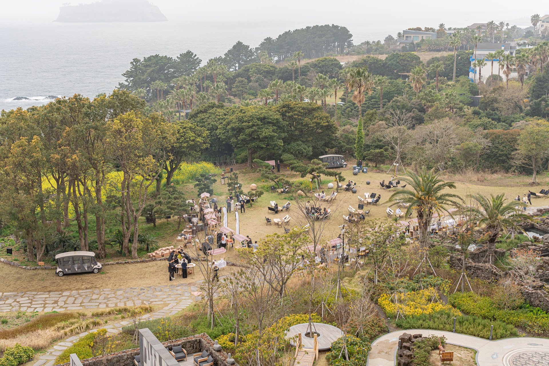 #JW가든 #JW메리어트제주 #댄싱두루미 #더플라잉호그 #아일랜드키친 #유채꽃 #제주사진 #제주여행 #제주유채꽃 #제주호텔