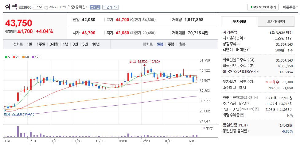 심텍 차트(일봉)