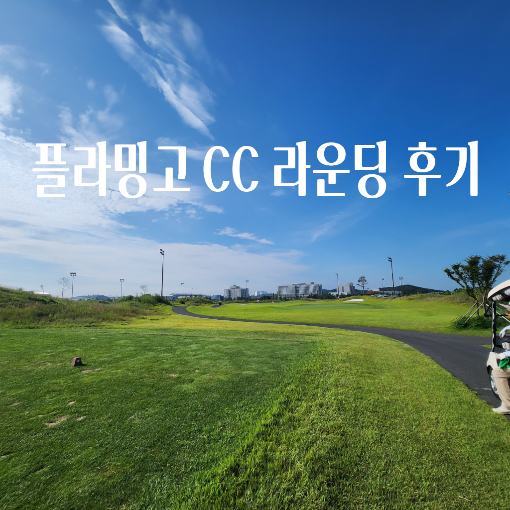 2025 플라밍고CC 후기 넓고 시원한 서해안 링크스 코스