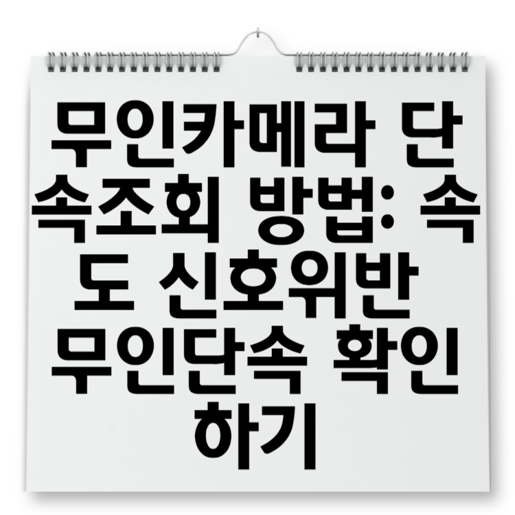 무인카메라 단속조회 방법 속도 신호위반 무인단속 확인하기