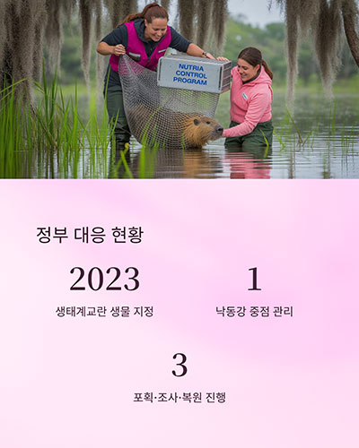 현재 우리나라의 대응 정책