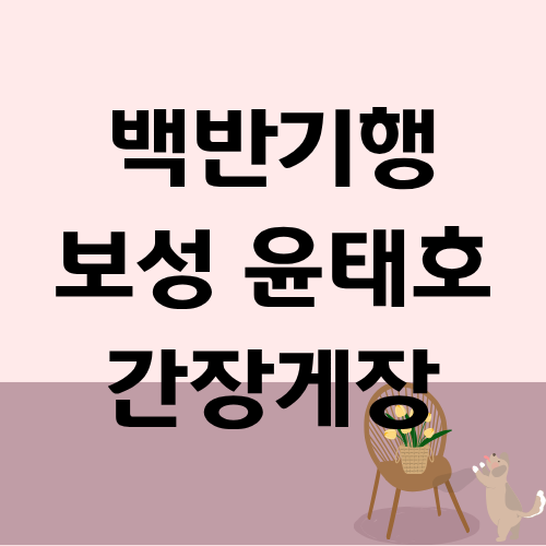 백반기행 보성 간장게장 윤태호