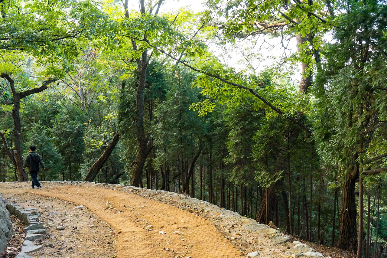 거제 저도 유람선 예약