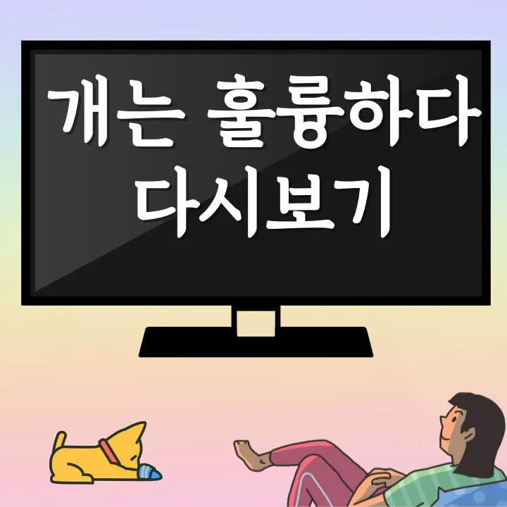 다시보기 재방송