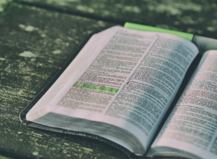 가장 짧지만 가장 깊었던 책 속 문장