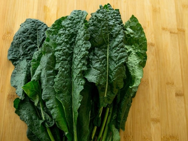 면역력 높이는 음식들