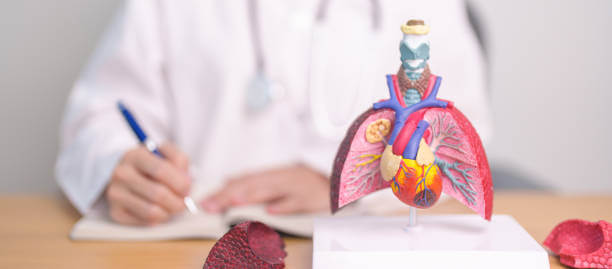 만성 기침과 가래? 기관지 확장증 증상과 관리법 꿀팁 공유!