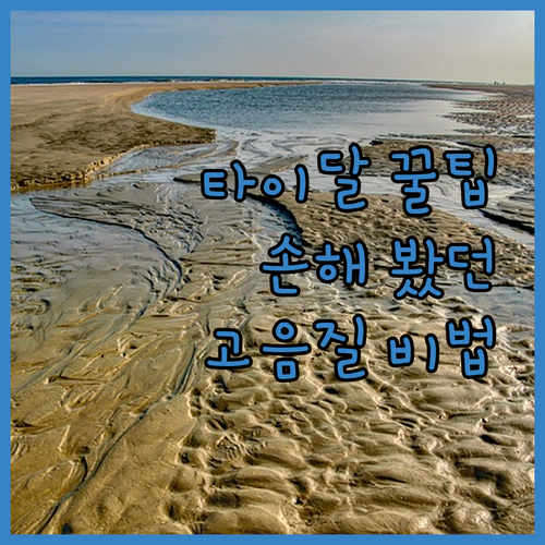 타이달 고음질, 몰라서 손해 봤던 꿀