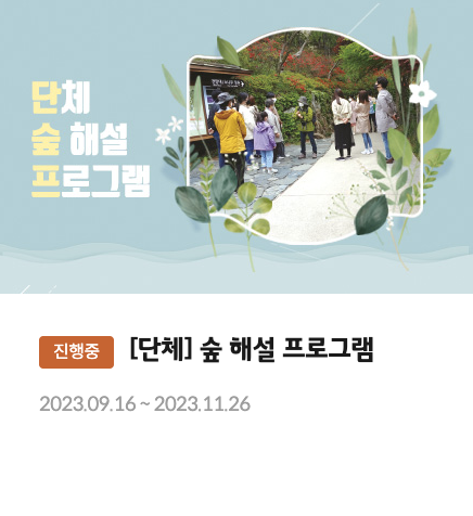 화담숲 프로그램1