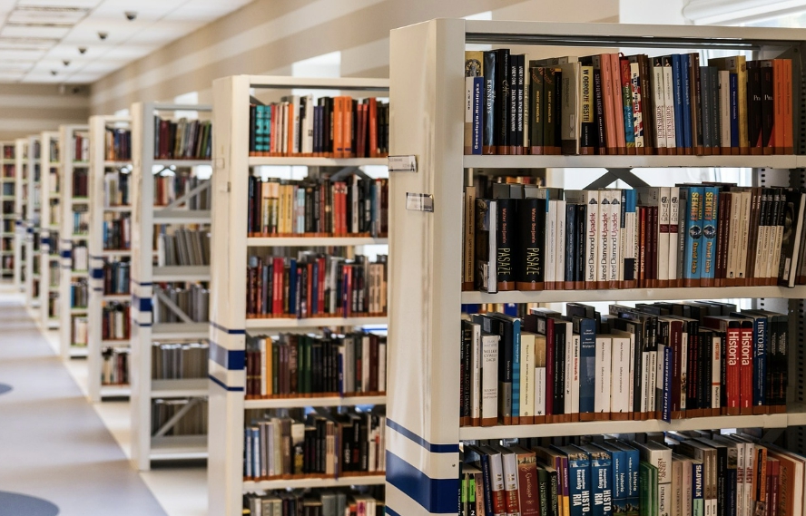 청춘의 독서 고전의 가치