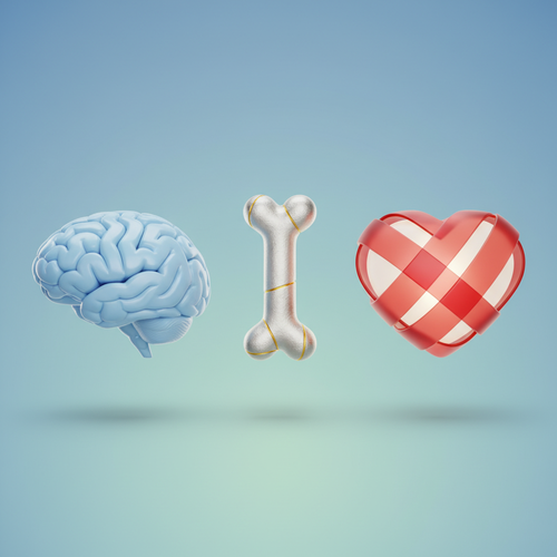 60대 이상 건강검진&amp;#44; 노년 건강 지키는 필수 항목