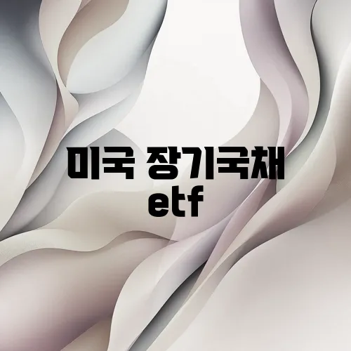 미국 장기국채 etf
