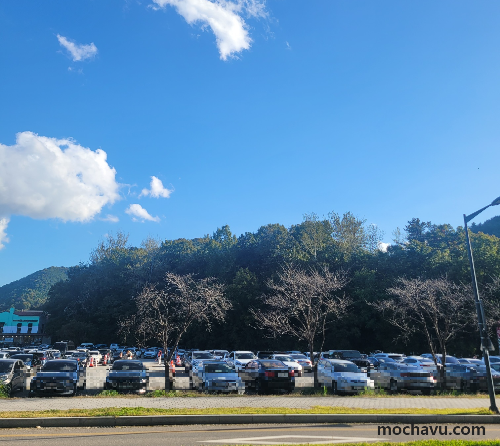 메타세쿼이아 가로수길 - 주차장