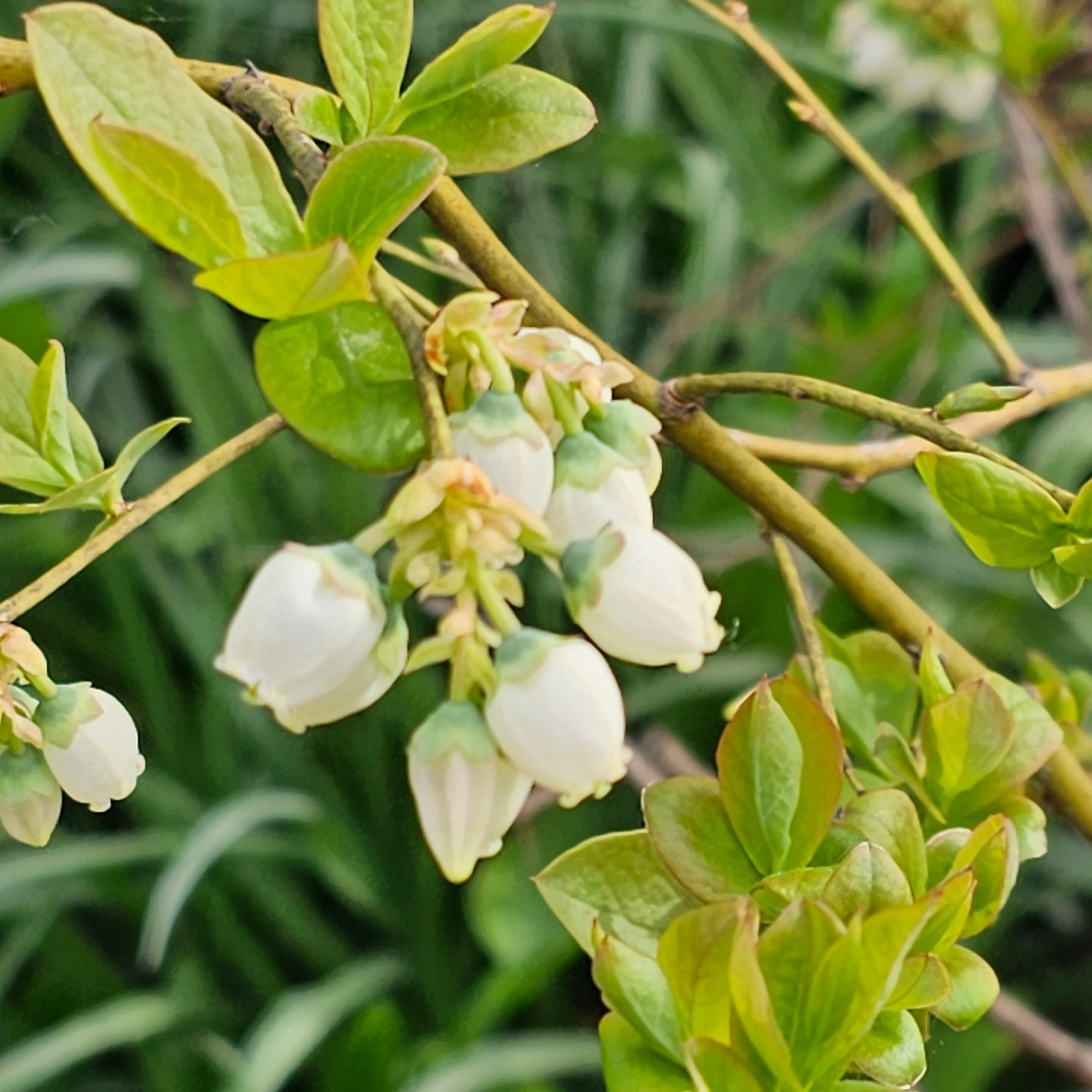 일상 속 꽃 한 송이의 힘