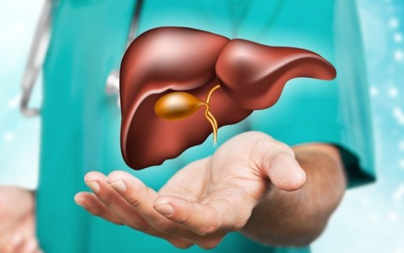 [Q&amp;A] 간수치가 높은이유, 낮추는버, 정상범위, 검사, 간수치 낮추는 음식