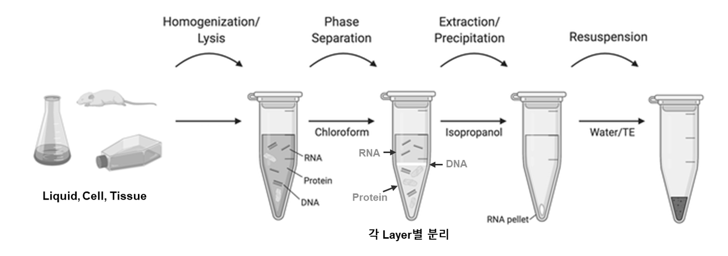Trizol을 이용한 RNA 추출 원리