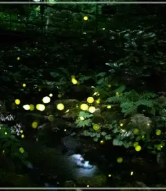 화담숲-예약하기-입장료-운영시간