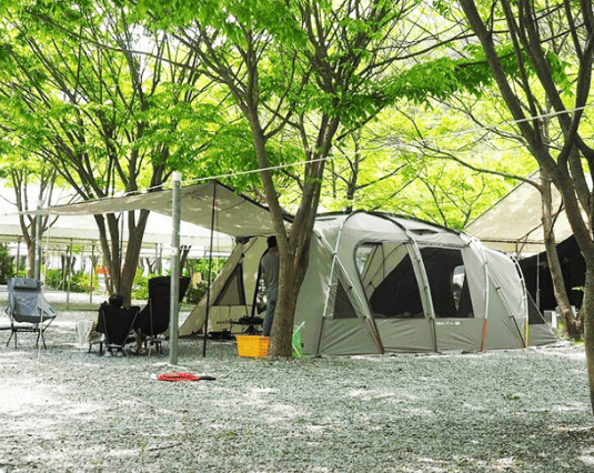 파주 캠핑장