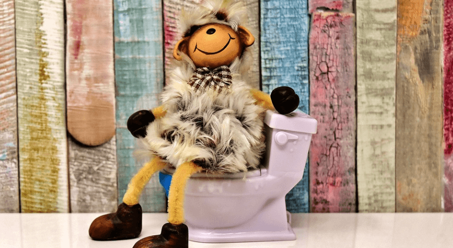 항문에서 피가 나는 이유로 좌변기에 앉아 볼일을 보고 있다