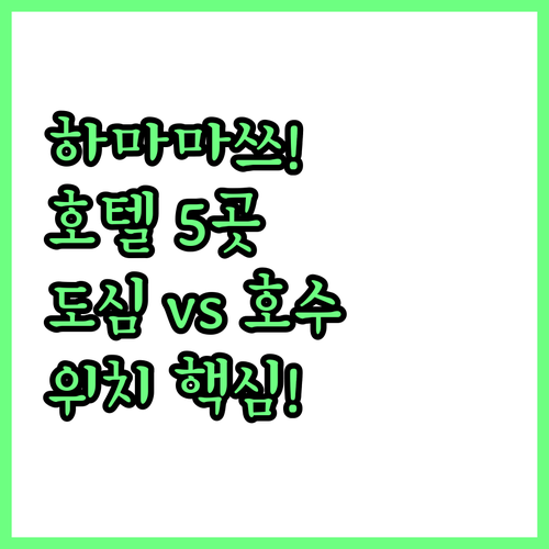 하마마쓰 호텔 5곳 완벽 비교 도심부..