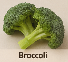 전립선에 좋은 음식