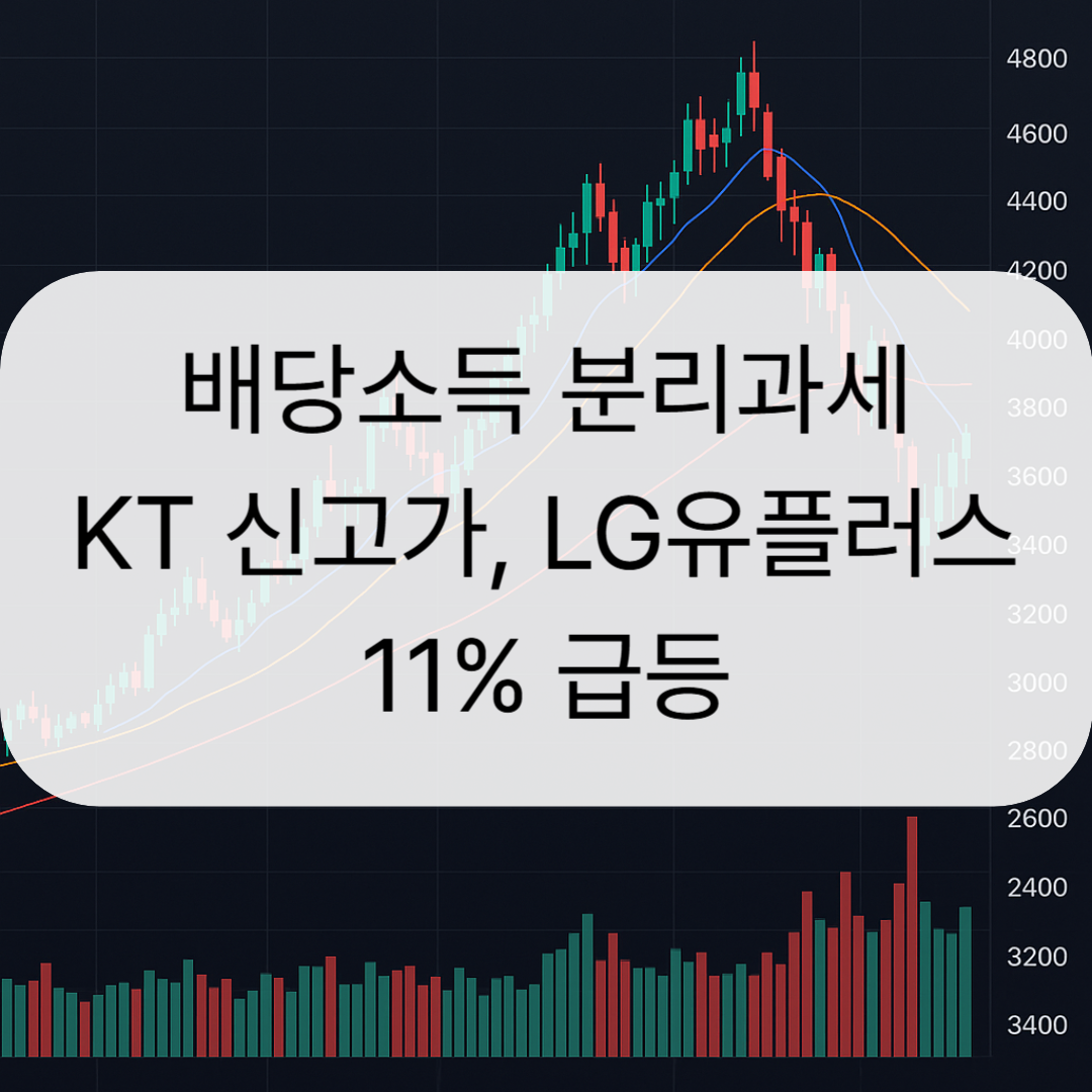 배당소득 분리과세