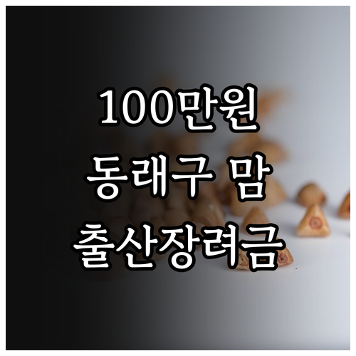 100만원 받는 2025 동래구 출산..
