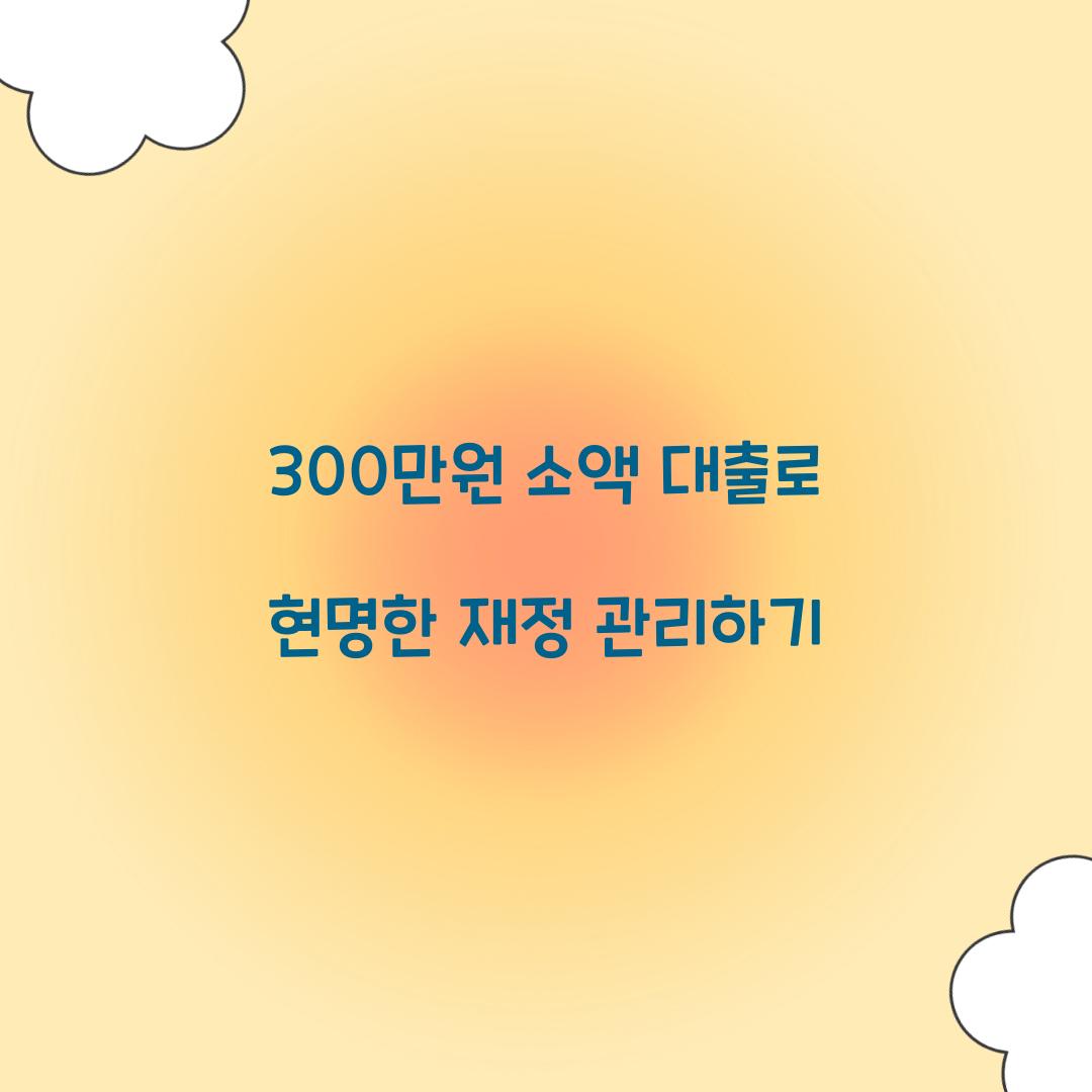 300만원 소액 대출