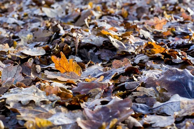 태조왕건 가계도 궁예 고려왕 정종 가계도_9