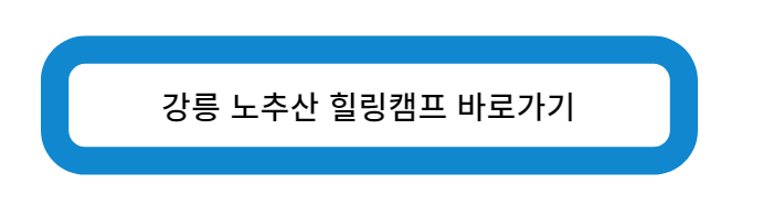 강릉 노추산 힐링캠프 바로가기