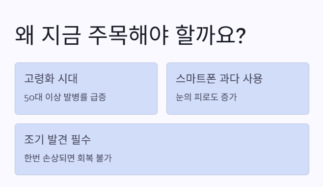 고령화시대