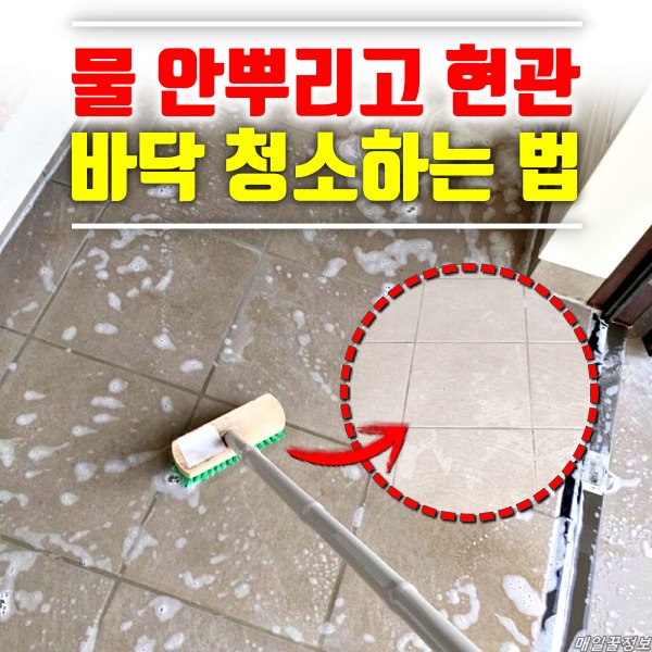 현관 바닥 타일 청소, 현관 청소하는법, 현관 바닥 청소,팁줌 매일꿀정보