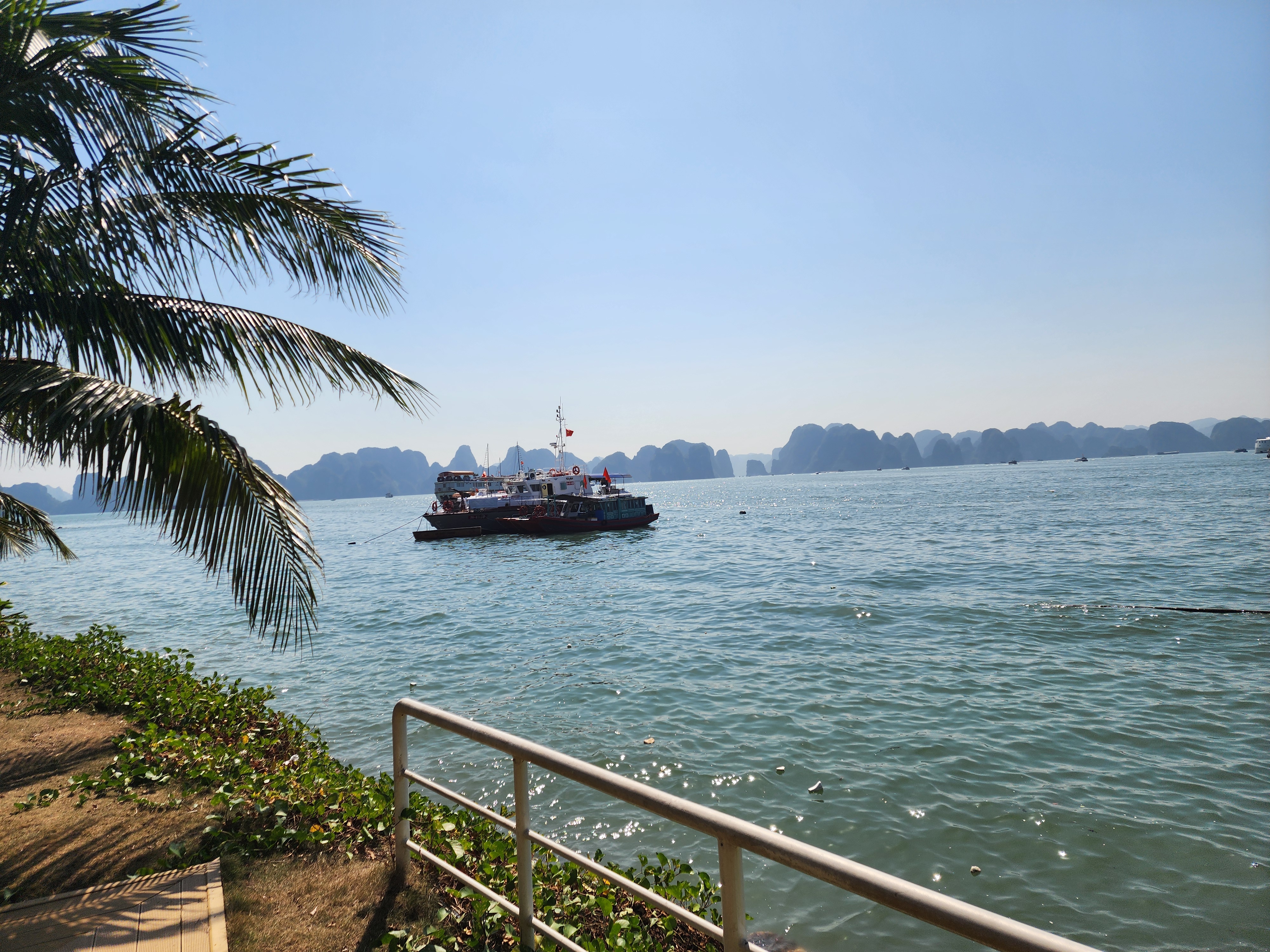 그랜드 파이어니스