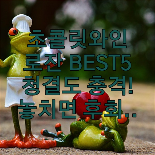 초콜릿 와인 컨셉 로잔 호텔 BEST..