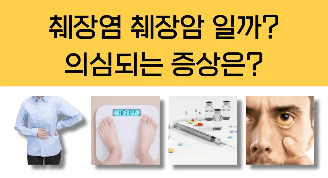 췌장효소추천