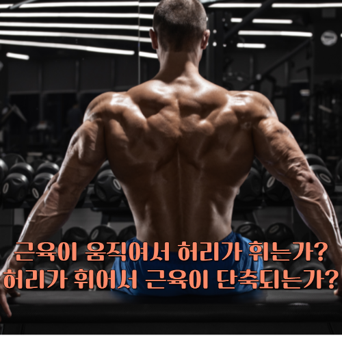 근육질의-남자