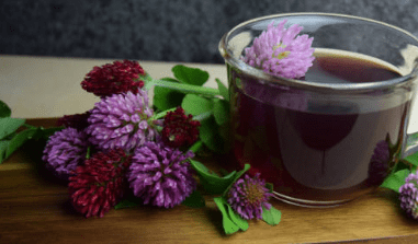 우엉차 효능 10가지 및 부작용