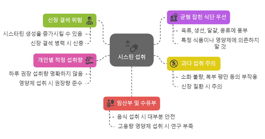 시스틴 섭취 시 주의사항