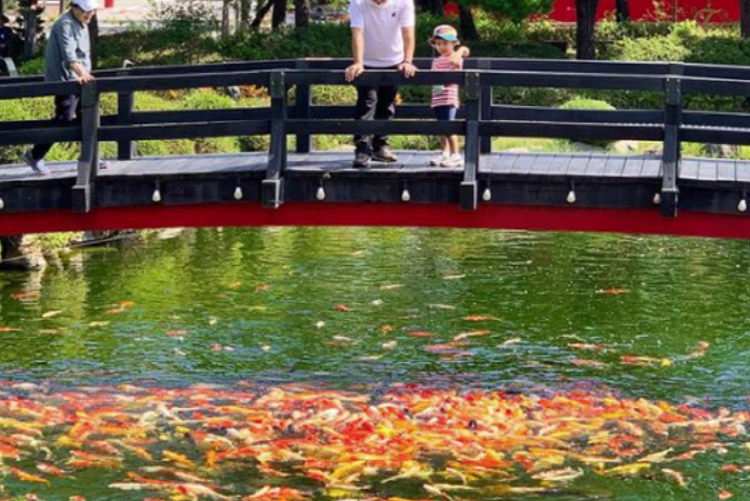 세종 베어트리파크 수목원