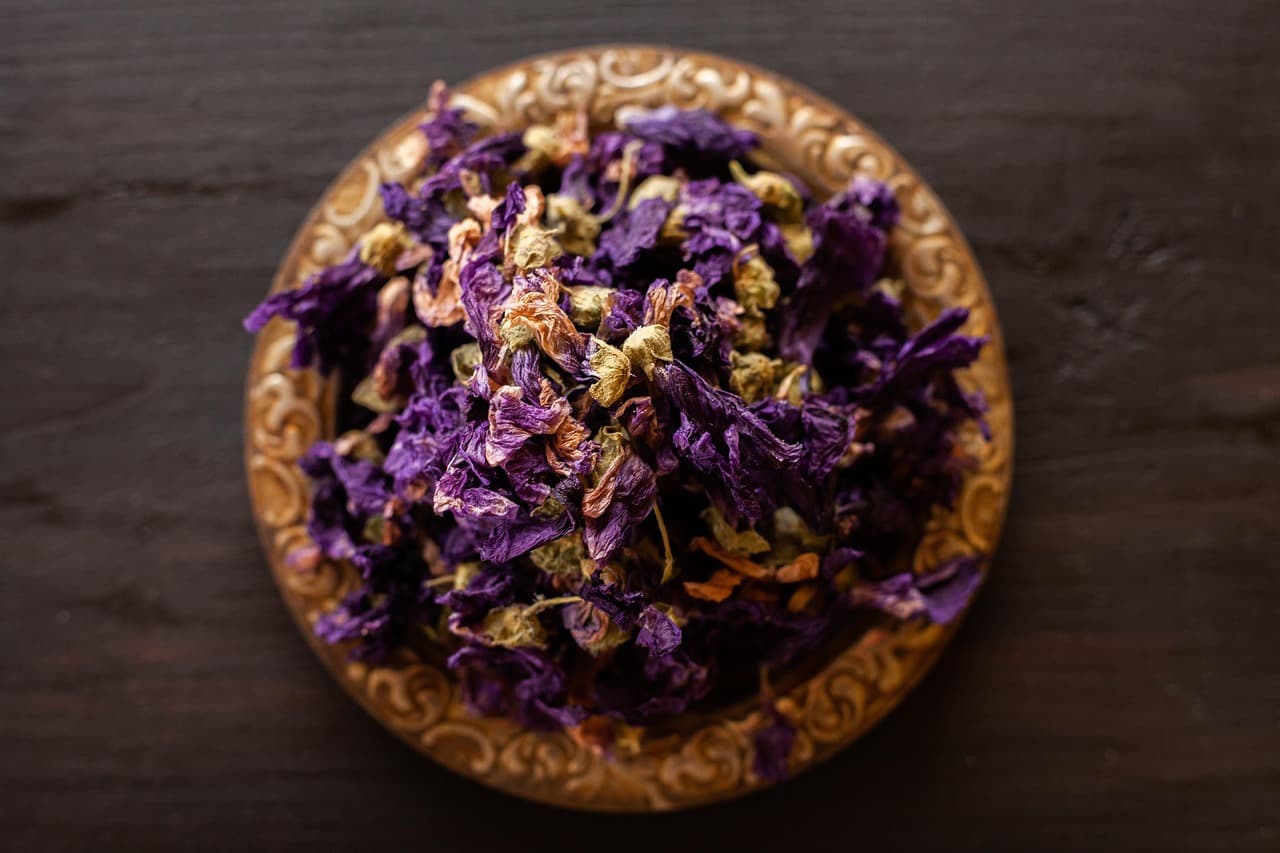 페퍼민트 키우기