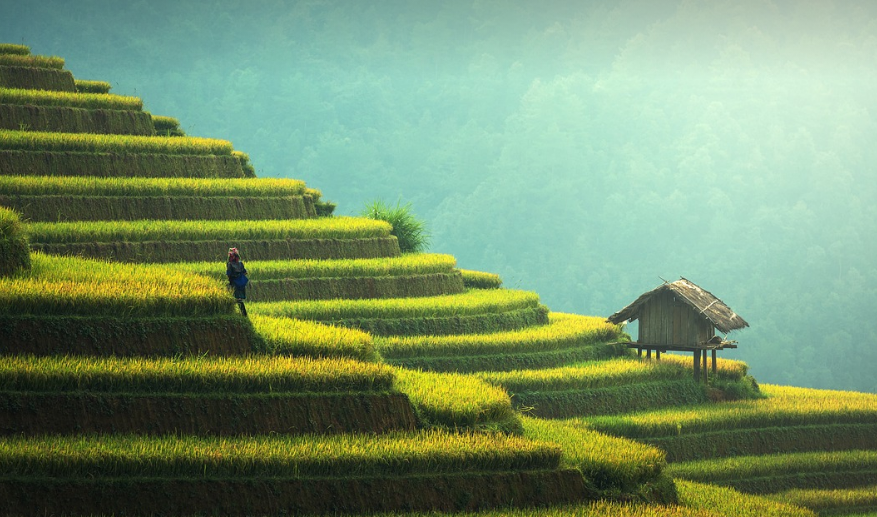 캄보디아의 모습