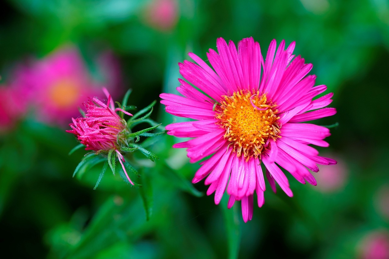 율봄식물원 방문 정보